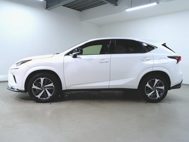 NX300 スパイス&amp;シック