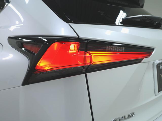 NX300 スパイス&amp;シック