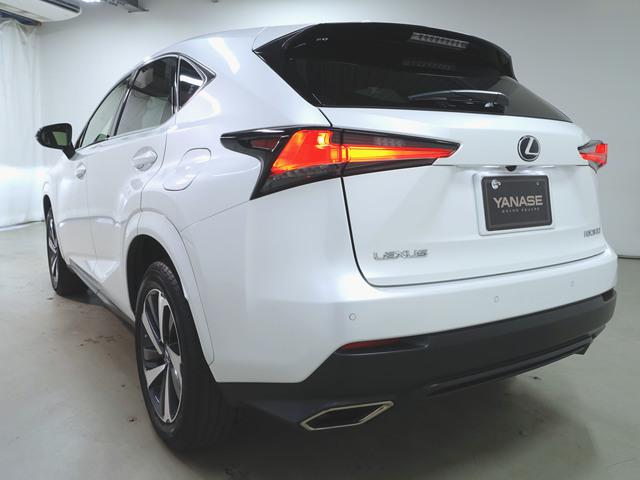 NX300 スパイス&amp;シック