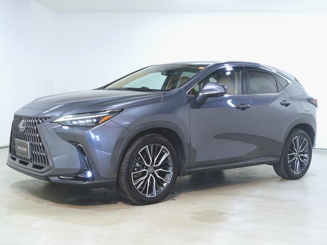 NX350h バージョンL