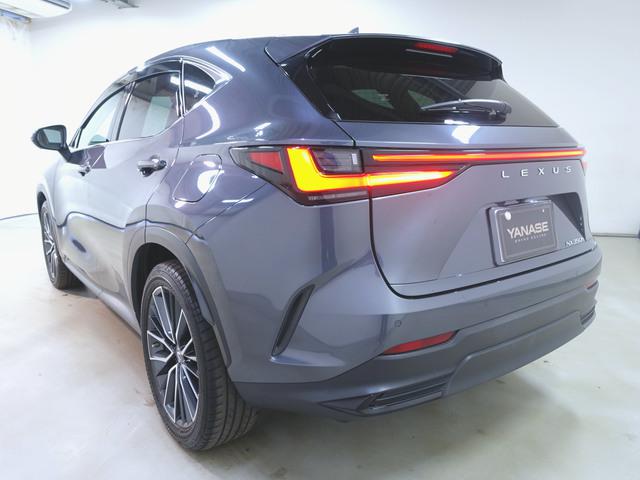 NX350h バージョンL