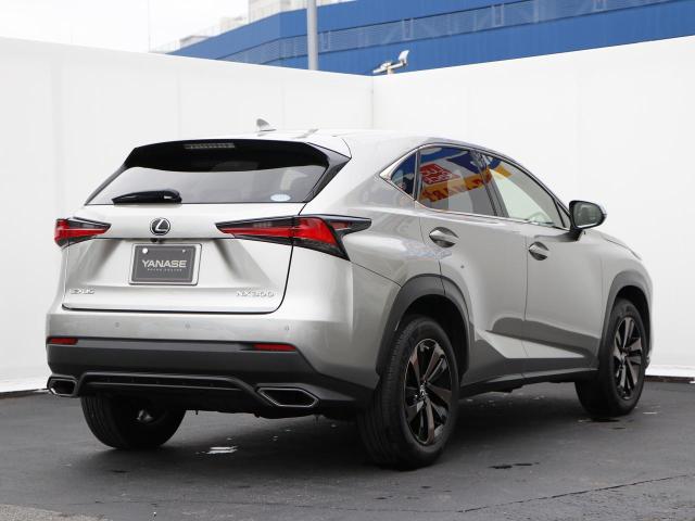 NX300 バージョンL