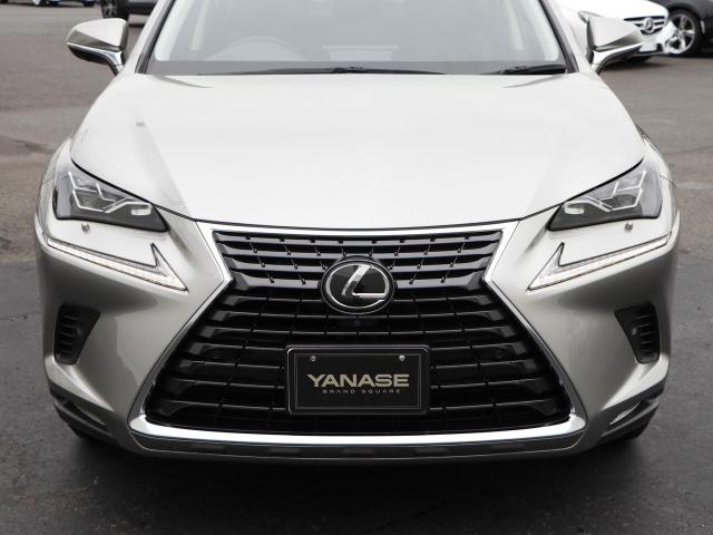 NX300 バージョンL