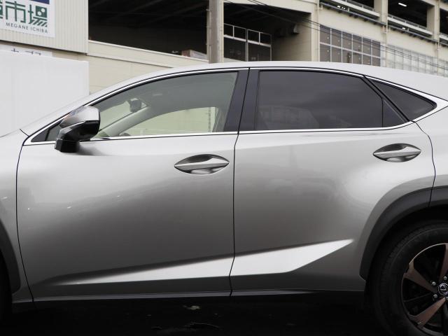 NX300 バージョンL