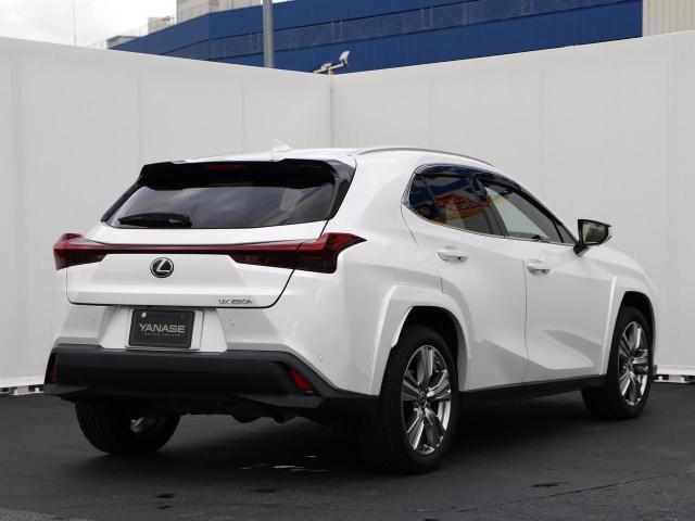 UX250h グレイスフルエクスプローラー