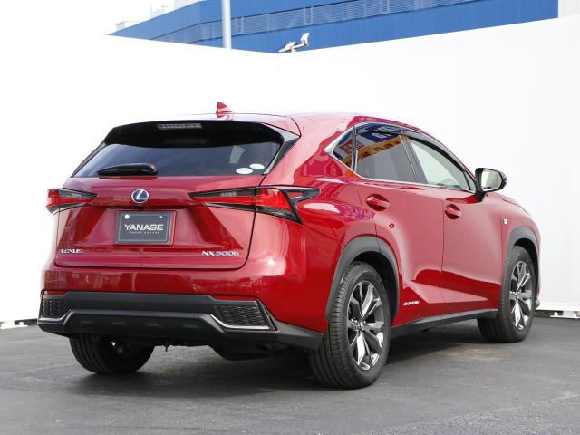 NX300h Fスポーツ