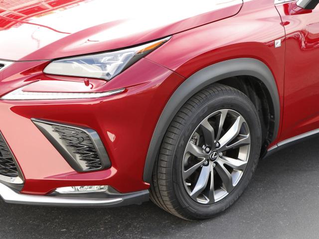 NX300h Fスポーツ