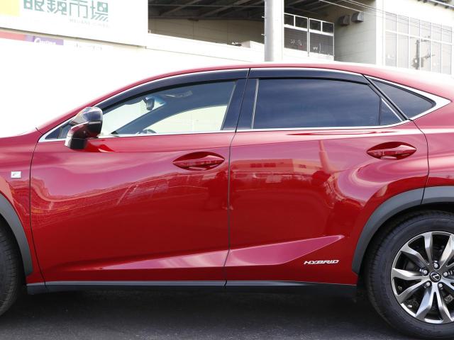 NX300h Fスポーツ